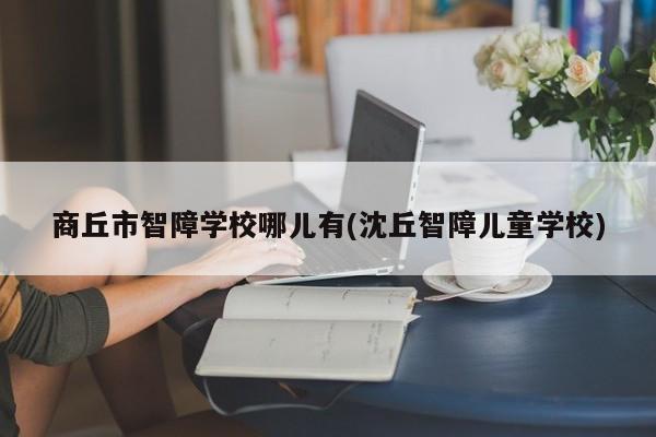 商丘市智障学校哪儿有(沈丘智障儿童学校)