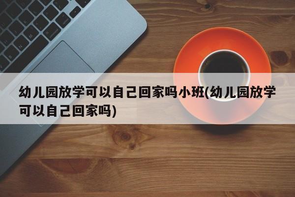 幼儿园放学可以自己回家吗小班(幼儿园放学可以自己回家吗)